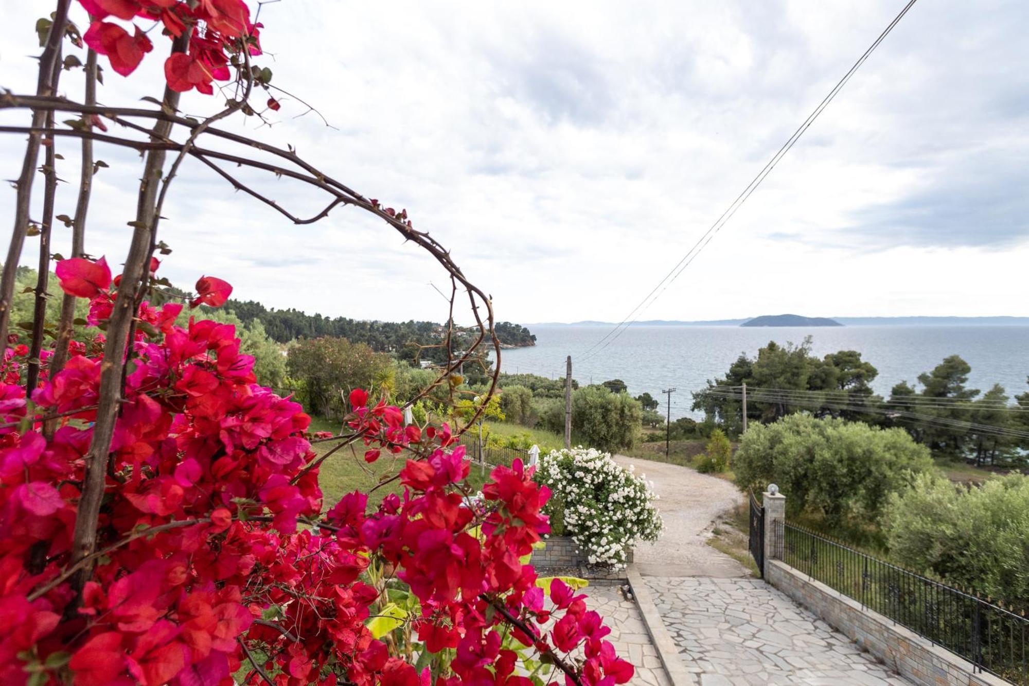 House Panorama Sea View Apartamento Néos Marmarás Exterior foto